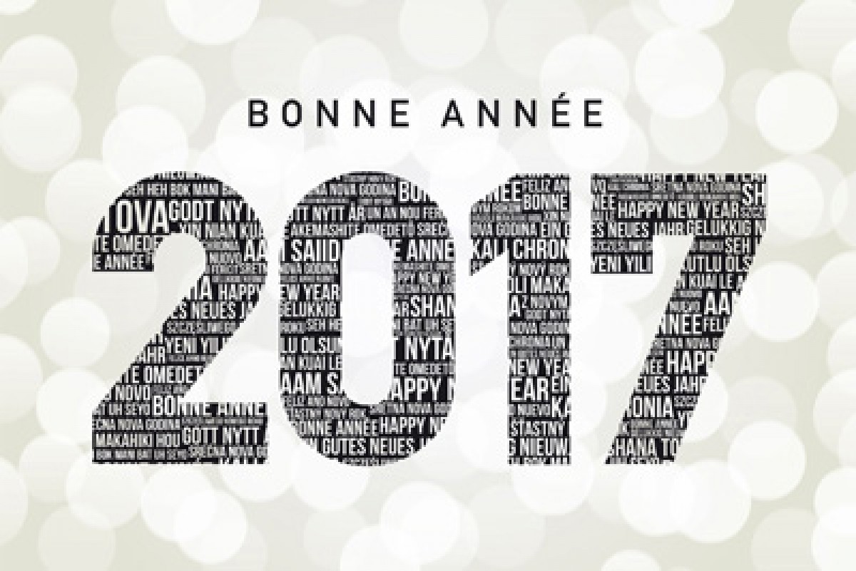 Bonne Année / Happy New Year 2017