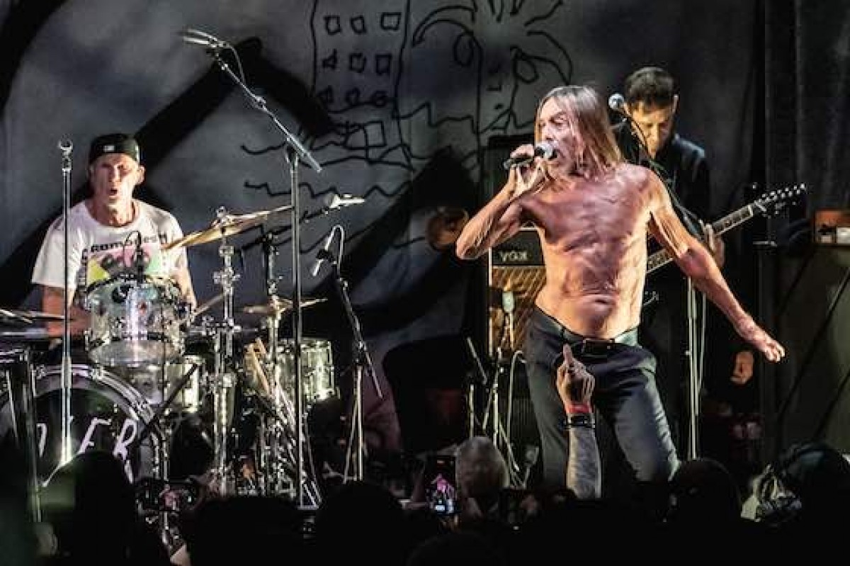 Chad s'amuse avec Iggy Pop & the Losers