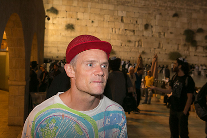 פלי מסתובב בכותל פלי מסתובב בכותל